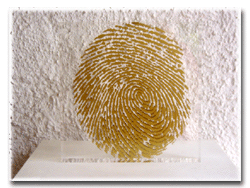 fingerprint